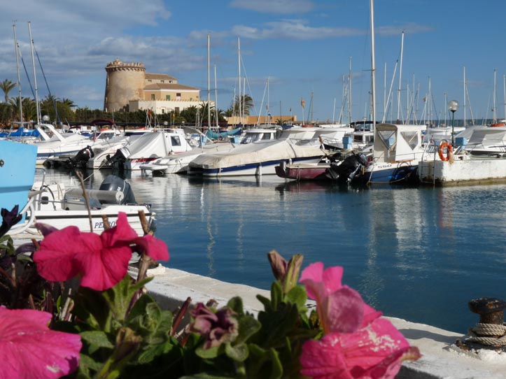 View of Torre de la Horadada Marina From the Tower - Large Picture